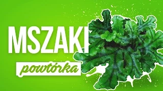 Mszaki - Powtórka z biologii