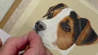 Draw a Jack Russell | Pastel Pencils