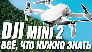 Квадрокоптер DJI Mini 2 (Mavic Mini 2) - все, что нужно знать! Лучший дрон? Лучше DJI Mavic Mini?