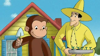 Georges le Petit Singe 🐵 Curieux apprend à connaître les autres animaux! 🐵 Dessins Animés