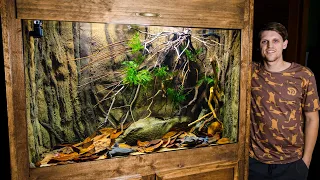 Suriname Toad (Pipa pipa) Breeding Tank Setup