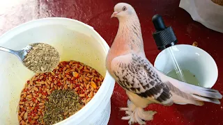 👆Голубям помогает от САЛЬМОНЕЛЛЁЗА И КОКЦИДИОЗА. Pigeons SALMONELLIS COCCIDIAsis.