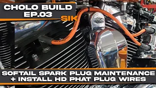 Inspect Plugs/Wires @harleydavidson + Install HD PHAT Plug Wires Cholo Softail Build