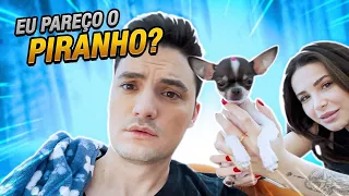 TUDO SOBRE NOSSO NOVO CACHORRO