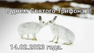 #Охота на зайца-русака. Сезон 2022-2023гг закрыт достойно !!!