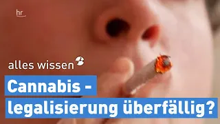 Legalisierung von Cannabis – überfällig oder gefährlich? | alles wissen