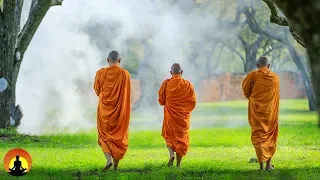 Tibetan Music, Healing Music, Relaxation Music, Chakra, Relaxing Music for Stress Relief, ☯2991