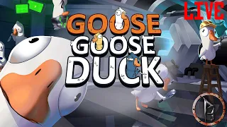 Goose Goose Duck - Live - Elszabadult a baromfiudvar!