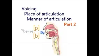 Voicing, Place & Manner of Articulation - Part 2