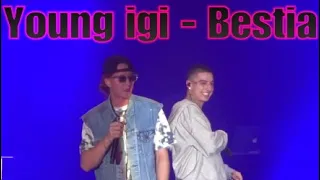 Young igi - Bestia feat Sobel Koncert Wrocław - Okiem Szafrana #13 #sobel