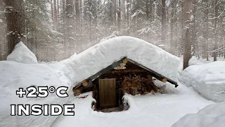 This SHELTER will SAVE your Life! A COZY NIGHT IN A LOG CABIN UNDERGROUND. SOLO BUSHCRAFT