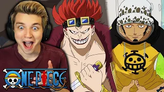 THE 11 SUPERNOVAS ARRIVE... (One Piece Reaction)