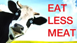 Fight Climate Change, Eat Less Meat