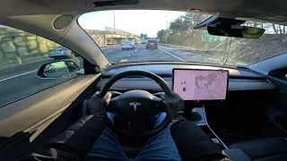 2019 Tesla Model 3 Standard Range Plus : ASMR POV Test Drive With Binaural audio