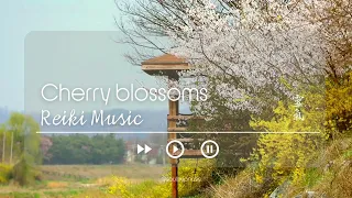 【REIKI Music】 "Cherry Blossom" (emotional & physical healing, meditation music)