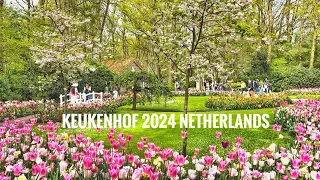 🌷Keukenhof 2024, April 18 - Netherlands 🇳🇱 - 4k