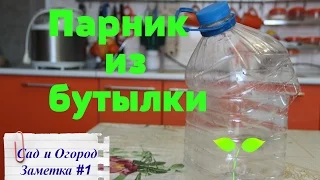 Парник из пластиковой бутылки. Лайфхак от Юли.