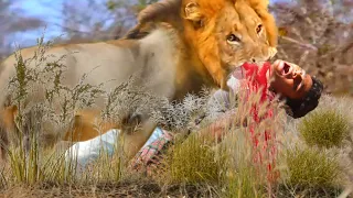 Lion Attack Man in Forest | Lion Attack Hunter | Lion Attack Stories Part-14