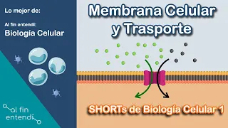 Membrana celular | Transporte Activo y pasivo.