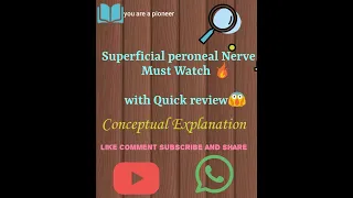 Superficial peroneal Nerve | Must Watch | Anatomy of lower limb | Nerves | with Quick Review |