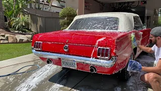Reviving A 1965 Ford Mustang: Classic Car Detailing Transformation | PearlMobileDetail.com