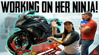 Kawasaki Ninja 300 Maintenance! (Chain / Oil / Coolant)