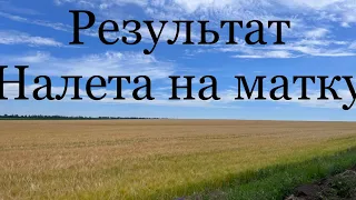 Что произошло в слабой семье после налета на матку!!!