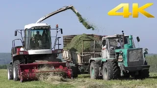 Комбайн ДОН-680М, тракторы Т-150К, МТЗ-80 - заготовка сенажа 2018