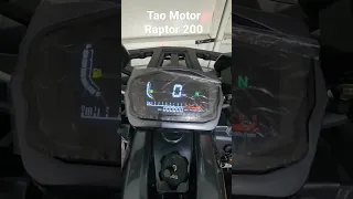 2023 Tao Motor Raptor 200