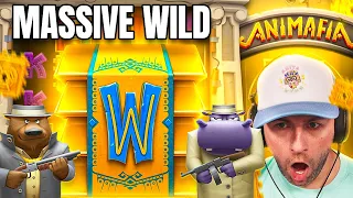 MASSIVE WILD HITS paid CRAZY on the *NEW* ANIMAFIA!! NEARLY MAX LEVEL!! (Bonus Buys)