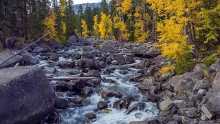(1 stunda) Skriešanas ūdens skaņas - skaista plūsma Mountain Creek Dabas skanējums # 23