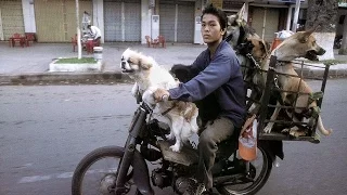 Nordvietnam auf dem Motorrad, eine Erkundungstour zu Zweit.