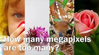 How many megapixels do you really need?