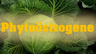 Phytoöstrogene  - Ein ausführlicher Vortrag