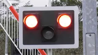 Railway Crossing - Hodson’s Bay, County Roscommon