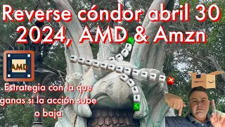 Resultados de #AMD & #AMZN #reversecondor #retodividendodiario
