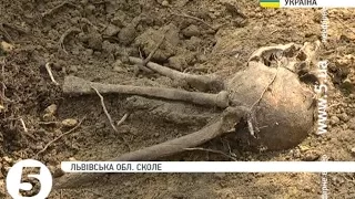 На Львівщині виявили місце поховання воїнів УПА