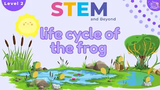 Life Cycle of a Frog | KS1 Science Year 2 | STEM Home Learning