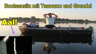 Bootsansitz mit Pose und Grundblei auf Aal und Zander! Was fängt besser? Tauwurm oder Grundel?