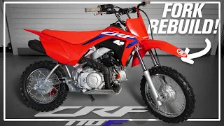 How To Replace Fork Seals on a Honda CRF110F