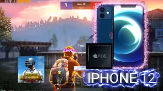 ИГРАЮ МЕСЯЦ НА IPhone 12❤️ Pubg Mobile