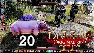 Divinity: Original Sin 2 Прохождение #20: Ведьма, Дракон и Свинья Федер