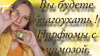 ШИКАРНЫЕ ПАРФЮМЫ С МИМОЗОЙ💛🤎💛