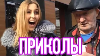 ПРИКОЛЫ и НЕУДАЧИ 2016 большая видео подборка приколы Jokes and failures of 2016