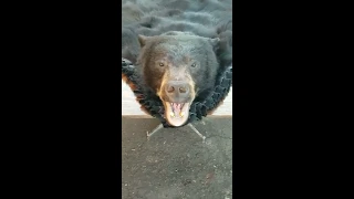 The Right Way To Skin A Bear