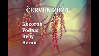 🍒ČERVEN🍒Kozoroh-Vodnář-Ryby-Beran🐞 @cestamiksobevykladkaret