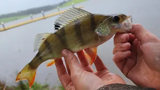 How To Catch Fish At Blue Rock Dam!