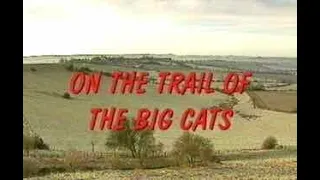 On the Trail of the Big Cats