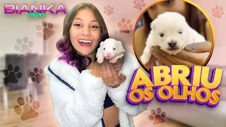 OS CACHORRINHOS ABRIRAM OS OLHOS 🐶❤️- BIANKA