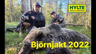 Björnjakt med Robin Strömqvist 2022